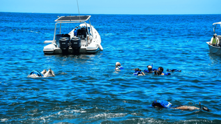 Puerto Vallarta: Tour of the Town of Yelapa With Snorkel - Activity and Duration