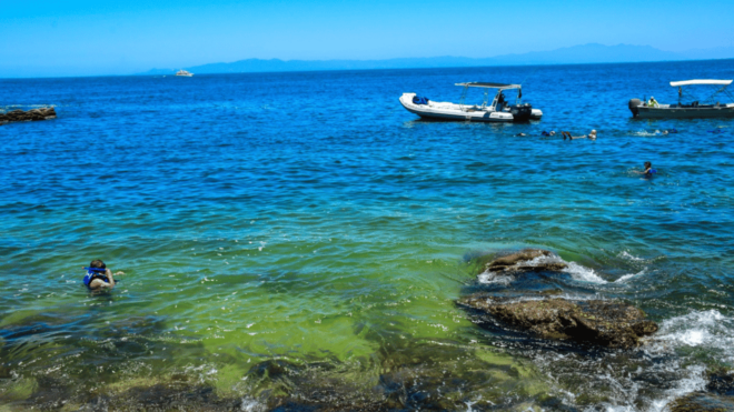 Puerto Vallarta: Tour of the Town of Yelapa With Snorkel - Itinerary Overview