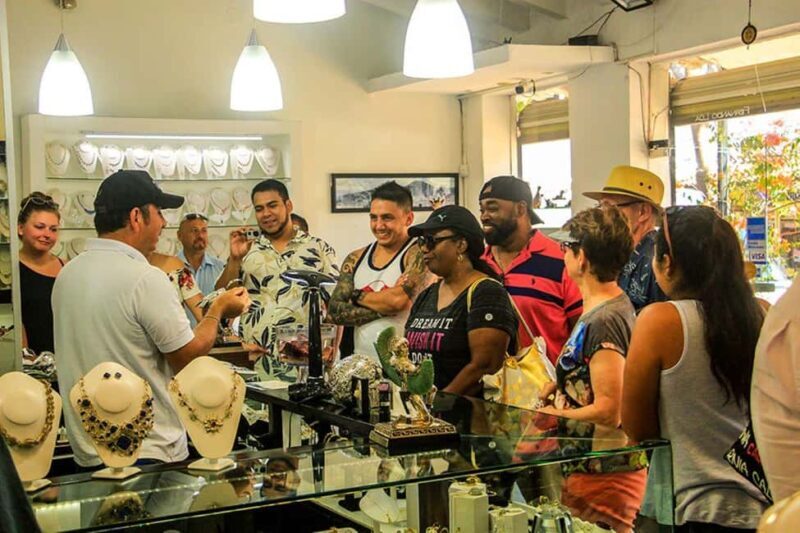 Puerto Vallarta: Tropical City & Zipline Adventure - Who Will Love This Tour?