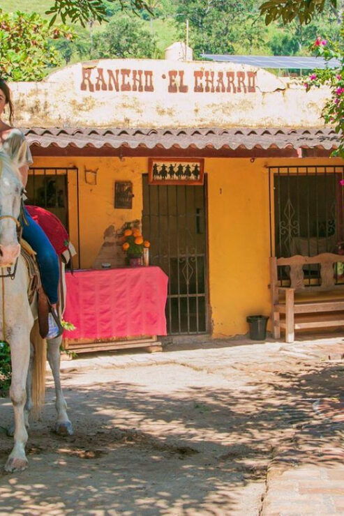 Puerto Vallarta: Tropical Forest Horseback Ride - Booking Details