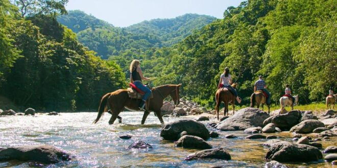 Puerto Vallarta: Tropical Forest Horseback Ride - Whats Included