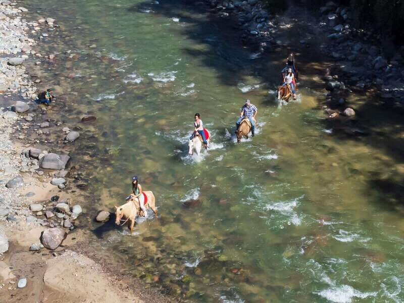 Puerto Vallarta: Tropical Forest Horseback Riding Adventure - Exploring the Details of the Puerto Vallarta Horseback Tour