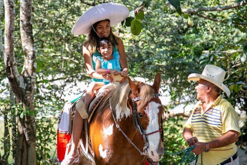 Puerto Vallarta: Tropical Tour - Final Thoughts