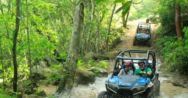 Puerto Vallarta: Unique Experience on ATVs or Razer - Encounter Native Flora and Fauna