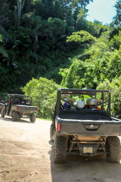 Puerto Vallarta: Viking RZR Eden for Cruise Ship Passengers - Vehicle Options for Thrilling Rides