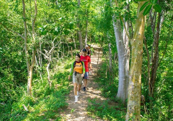 Puerto Vallarta: Walking Tour to Glass ViewPoint Jorullo - Physical Requirements