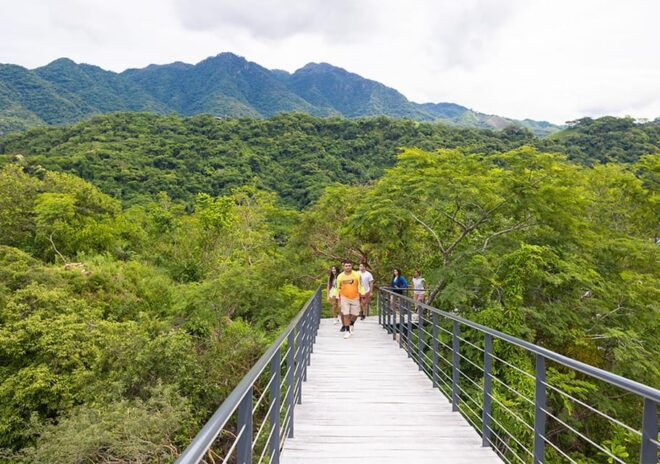 Puerto Vallarta: Walking Tour to Glass ViewPoint Jorullo - Meeting Points