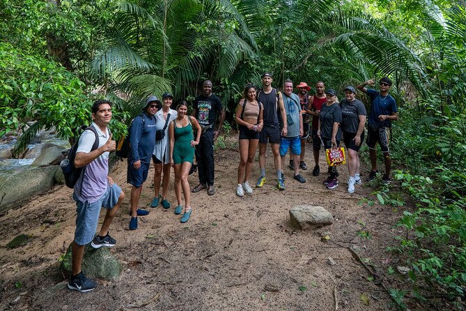 Puerto Vallarta Waterfall Hike Half-Day Tour - Feedback on the Tour Experience