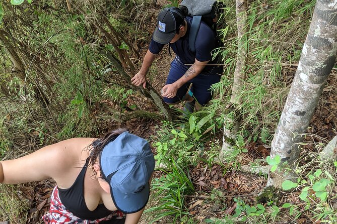 Puerto Vallarta Waterfall Hike Half-Day Tour - Overall Satisfaction With the Tour