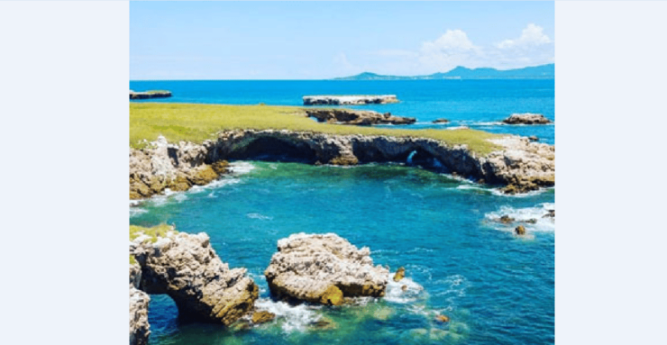 Puerto Vallarta: Whale Encounter Expedition - Experience Highlights