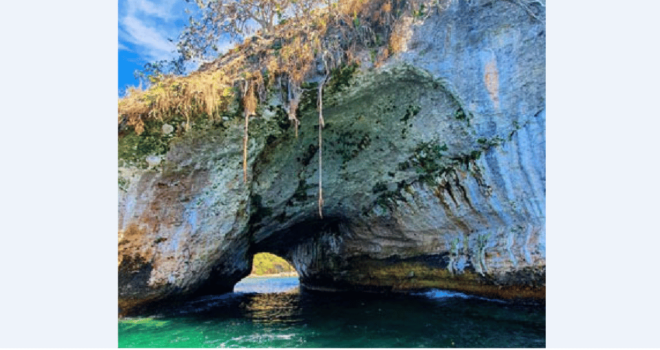 Puerto Vallarta: Whale Encounter Expedition - Meeting Point and Schedule