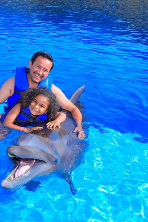 Puerto Vallarta: Whale Watching and Swimming With Dolphins - Whale Watching Highlights