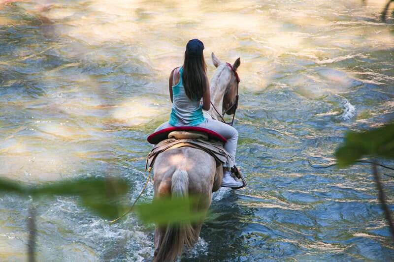 Puerto Vallarta: Wild Tour Horseback Adventure - Wildlife Encounters and Scenic Highlights
