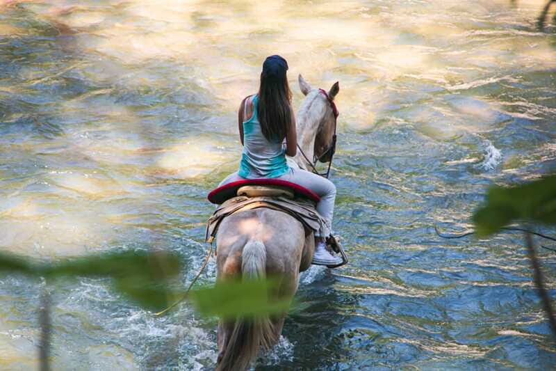 Puerto Vallarta: Wild Tour Horseback Adventure - Transportation and Logistics