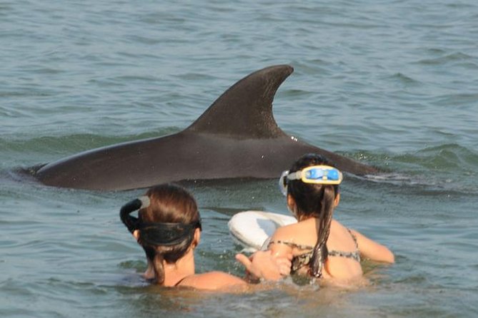 Puerto Vallarta Wildlife Boat Tour - Wildlife-focused Experience
