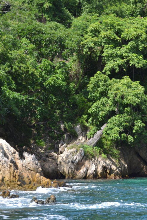 Puerto Vallarta: Yelapa and Majahuitas - Experience Highlights