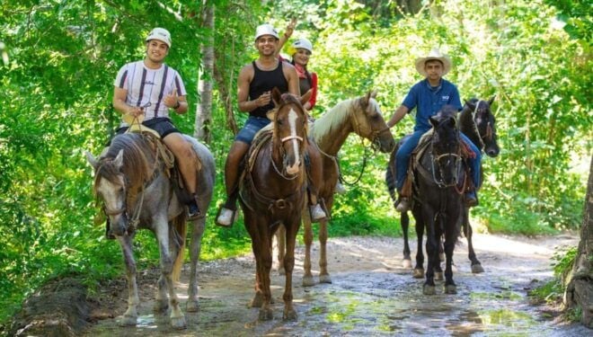 Puerto Vallarta: Zipline Experience Over Canopy River Park - Tour Duration