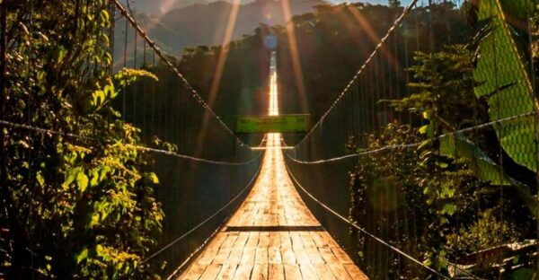 Puerto Vallarta: ZipLine + Jorullo Bridge Pass + Mule Ride - Safety and Expertise Assured