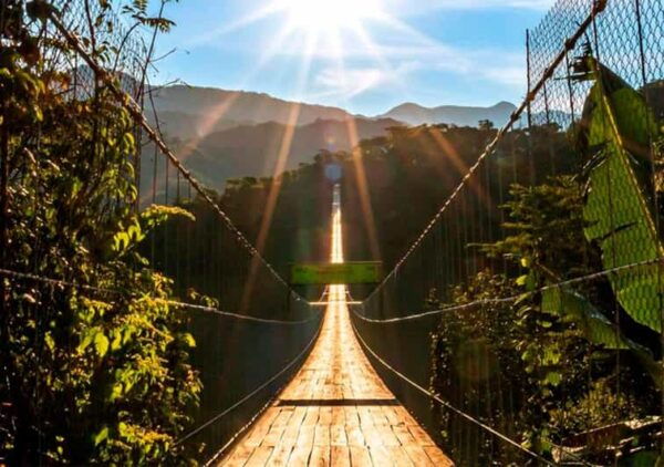 Puerto Vallarta: ZipLine + Jorullo Bridge Pass + Mule Ride - Tequila Tasting Delight