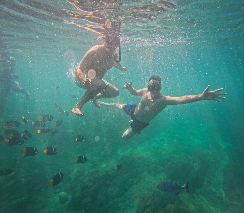 Puerto Vallarta: Zipline Tour, Snorkel & Secret Beach Escape - The Itinerary in Detail