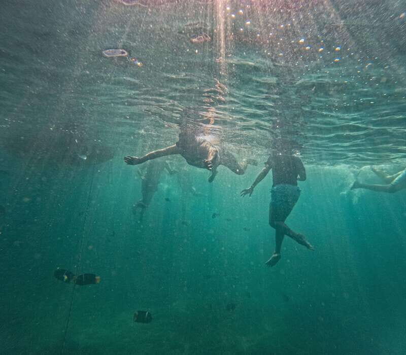 Puerto Vallarta: Zipline Tour, Snorkel & Secret Beach Escape - Included and Not Included