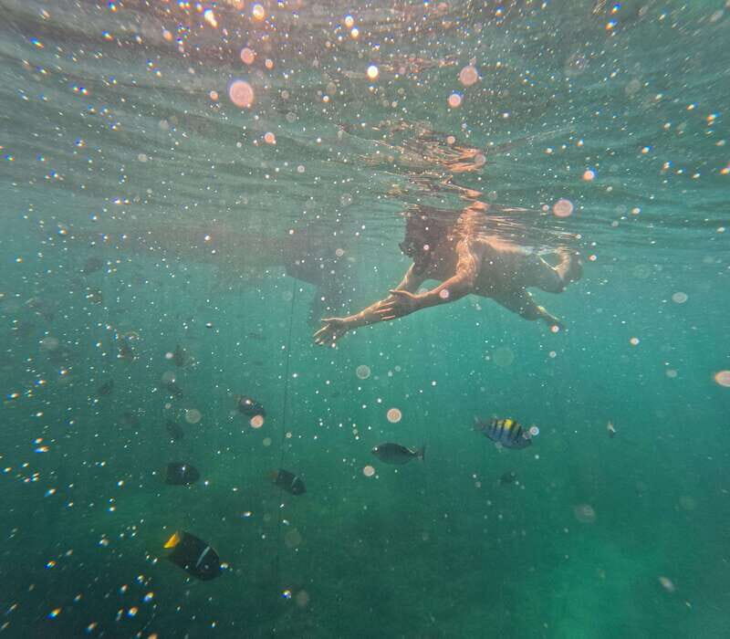 Puerto Vallarta: Zipline Tour, Snorkel & Secret Beach Escape - FAQ