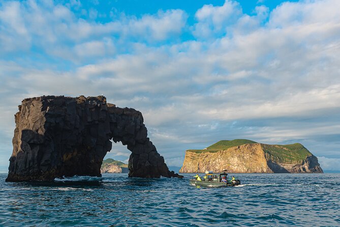 Puffin and Volcano Boat Tour - Overall Experience