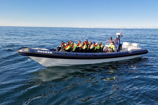 Puffin Express by RIB Speedboat - Common Questions