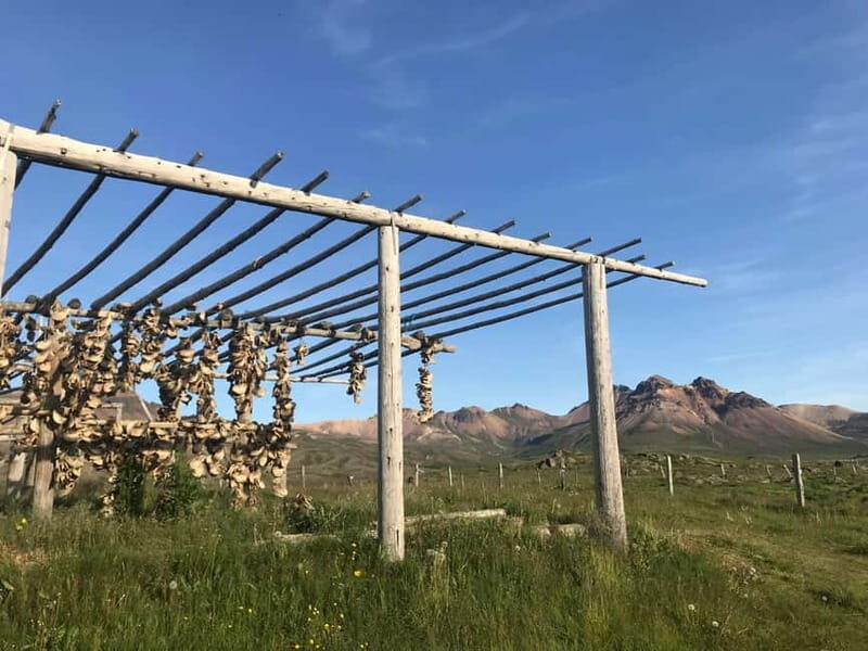 Puffin & Gufufoss Waterfall Tour from Seydisfjordur Port - Who Should Consider This Tour?