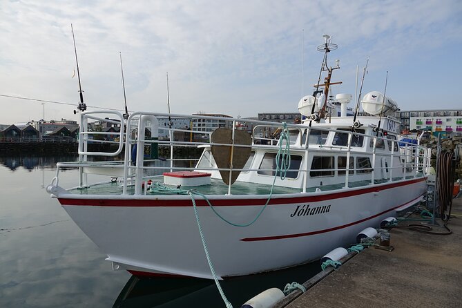 Puffin Observation by Boat From Reykjavik Old Harbour - Cancellation Policy for the Puffin Observation Boat Tour
