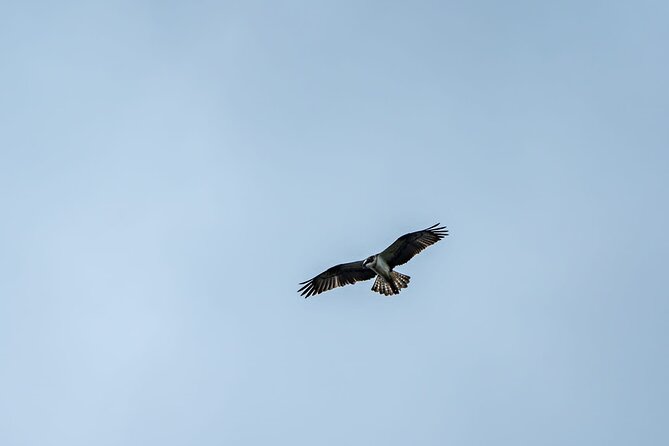 Puffin Tour - Additional Tour Information