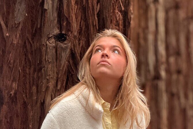 Puffing Billy, Forest Trails and Yarra Valley Discovery Tour - Practical Details & Tips