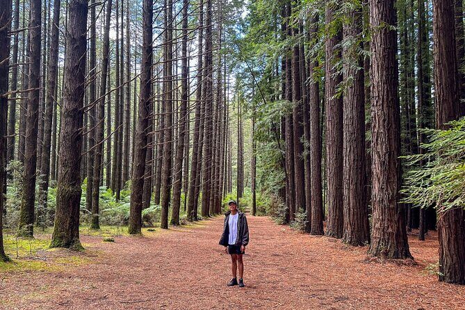 Puffing Billy, Forest Trails and Yarra Valley Discovery Tour - Authentic Perspectives from Reviewers