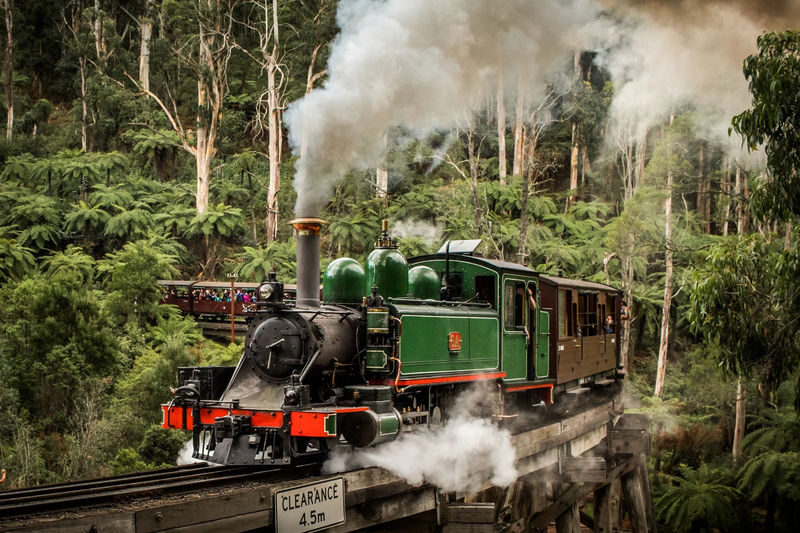 Puffing Billy & Penguin Parade Chocolate Wine Tasting Bush Walk Tour - Puffing Billy gives the day its sense of occasion