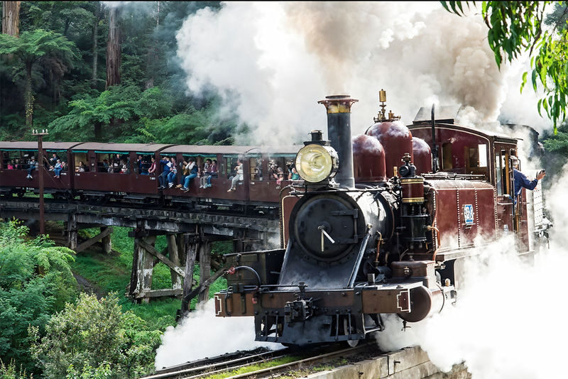 Puffing Billy & Penguin Parade Chocolate Wine Tasting Bush Walk Tour - SkyHigh and Grants add a quieter side of the Dandenongs