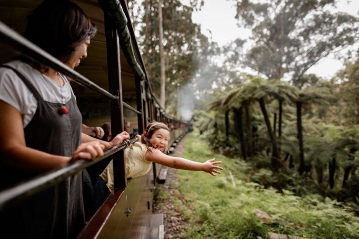 Puffing Billy Railway: Heritage Steam Train Journey - Ticket Details