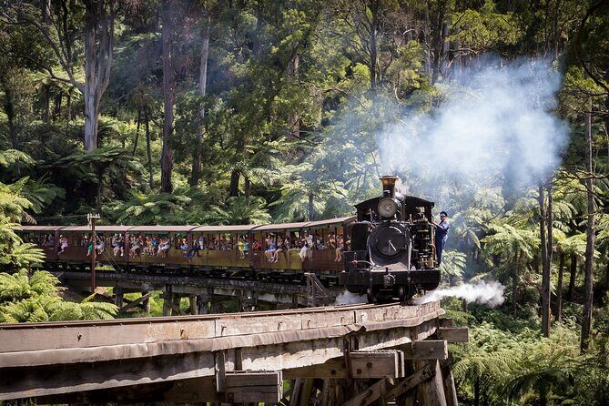 Puffing Billy & Rainforest Tour from Melbourne - Common Praise & Tips from Reviewers