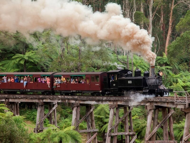 Puffing Billy Steam Train and Wildlife Zoo Day Tour - At a glance