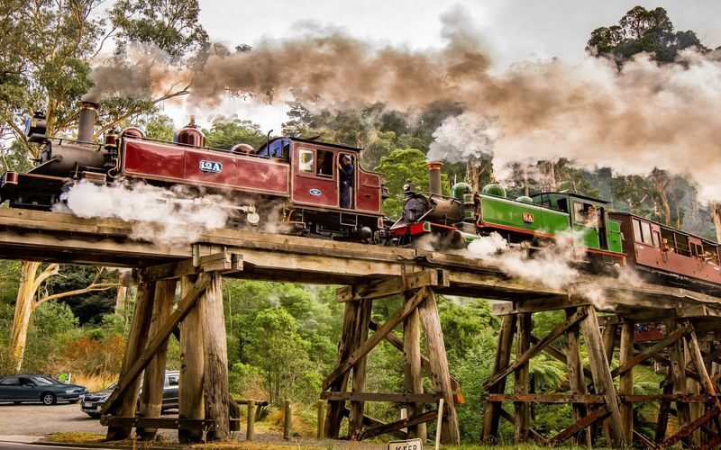 Puffing Billy Steam Train and Wildlife Zoo Day Tour - Brighton’s colorful bathing boxes