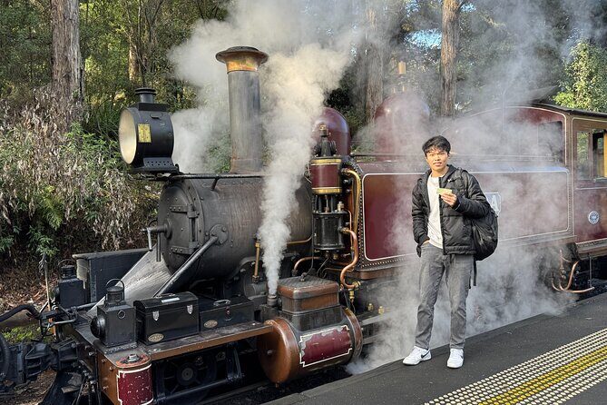 Puffing Billy Steam Train Rainforest Tour and Yarra Valley Treats - Good To Know