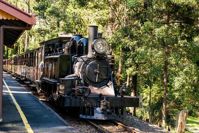 Puffing Billy Steam Train Rainforest Tour and Yarra Valley Treats - Final Thoughts: Who Should Book?