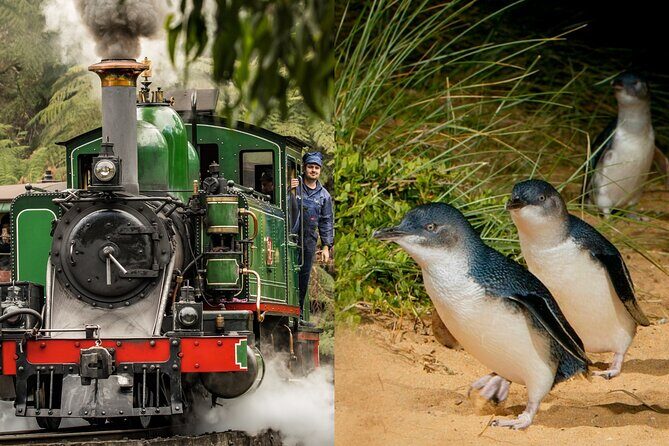Puffing Billy Tour and Penguin Parade from Melbourne - Introduction