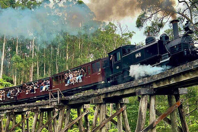 Puffing Billy Tour and Penguin Parade from Melbourne - A Day of Scenic Beauty and Wildlife Charm