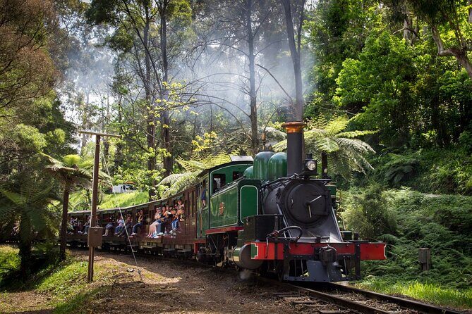 Puffing Billy Tour and Penguin Parade from Melbourne - Practical Details and Convenience