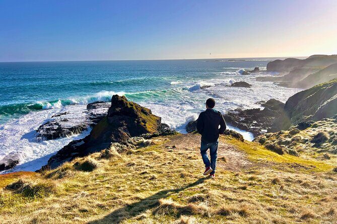 Puffing Billy Tour and Penguin Parade from Melbourne - Authentic Experiences from Reviewers