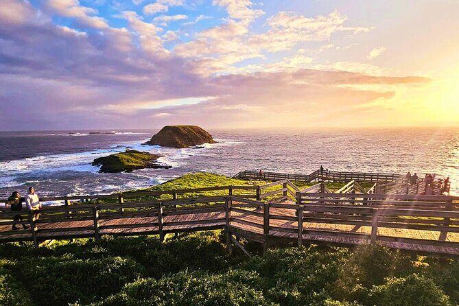 Puffing Billy Tour and Penguin Parade from Melbourne - The Sum Up