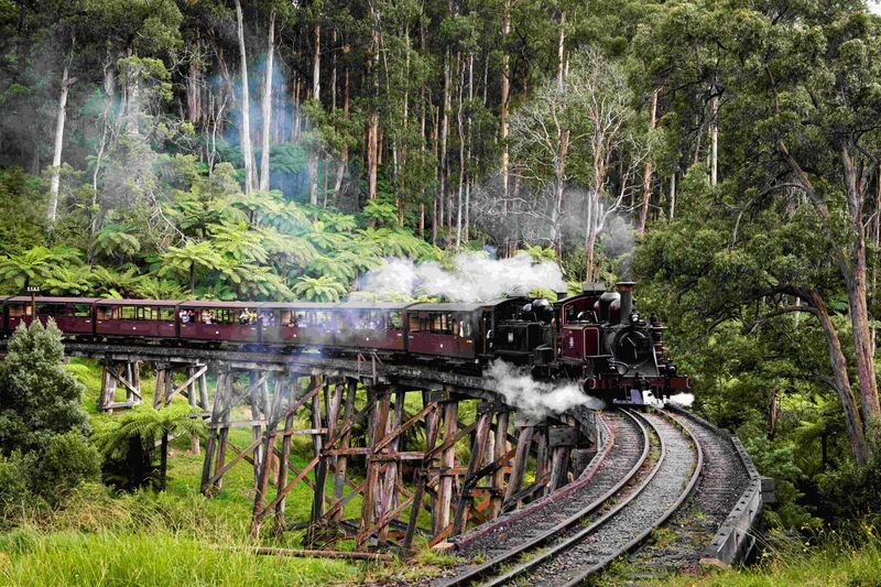 Puffing Billy Train & Penguin Parade & Koala Park & Brighton Beach - Puffing Billy is more than a train photo