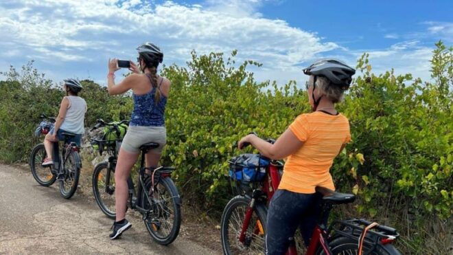 Puglia/Bari: Ebike Tour With Evo Oil Tasting - Highlights and Features