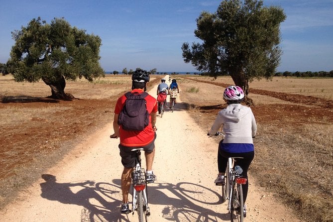 Puglia Bike Tour: Cycling Through the History of Extra Virgin Olive Oil - Common Questions