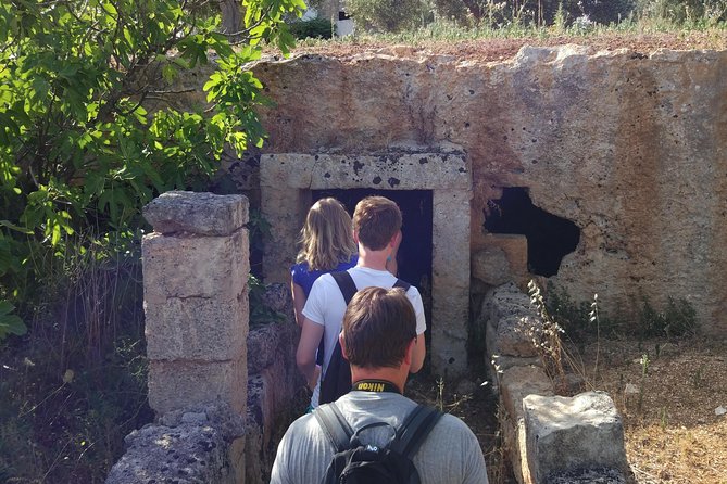 Puglia Bike Tour: Cycling Through the History of Extra Virgin Olive Oil - The Sum Up